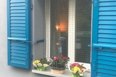 ProtectionChatCadre-1