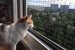 Protection_pour_chat_fenetre_Le_Lignon_1