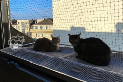 chaterie-sur-fenetre-02