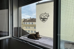 chaterie-sur-fenetre-08