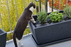 20210410_094338-rotated