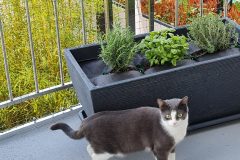 20210410_094342-rotated