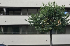 Filet_vert_de_protection_pour_chat_02-e1506654358290