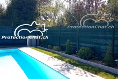 Protection-Chat-rehaussement-de-cloture-01