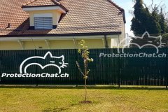 Protection-Chat-rehaussement-de-cloture-02