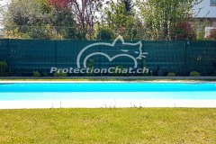 Protection-Chat-rehaussement-de-cloture-03