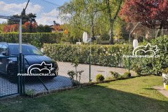 Protection-Chat-rehaussement-de-cloture-avec-portail-jardin-01