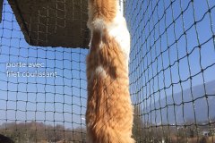 balcon-porte-jardiniere-00