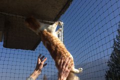 balcon-porte-jardiniere-01