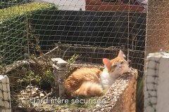 balcon-porte-jardiniere-02