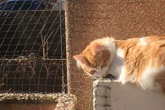 balcon-porte-jardiniere-05