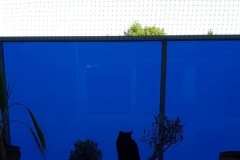 filet-de-protection-pour-chat-balcon-vitre