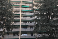 filet_de_protection_pour_chats-11