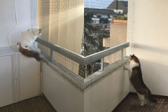 filet_de_protection_pour_chats-13