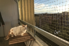 filet_de_protection_pour_chats-7