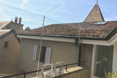 Filet de protection pour chats Genève Vieille-Ville