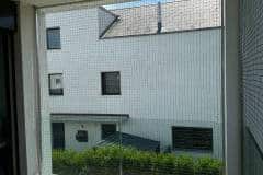 Protection-Chat-Fribourg-02