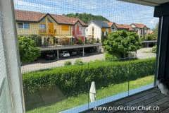 Protection-Chat-Fribourg-03