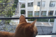 Découverte de la fenêtre sécurisée.