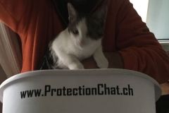 PCassistanceTechnique