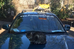 Minouche recommande ProtectionChat.ch