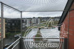 Protection-Chat-Auto-portante-sans-trous-Bussigny-1