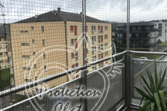 Protection-Chat-Auto-portante-sans-trous-Bussigny-2