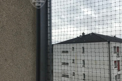 Protection-Chat-Auto-portante-sans-trous-Bussigny-3