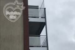 Protection-Chat-Auto-portante-sans-trous-Bussigny-9