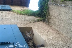 Terrasse-Securisee-ProtectionChat.ch-05