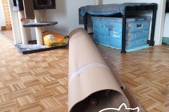 Shop.protectionchat.ch-02