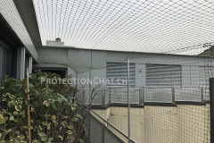 Protection-Chat-Terrasse-avec-couverture-05