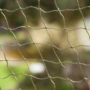 filet protection chat