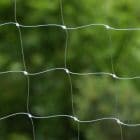 filet_protection_transparent_chat