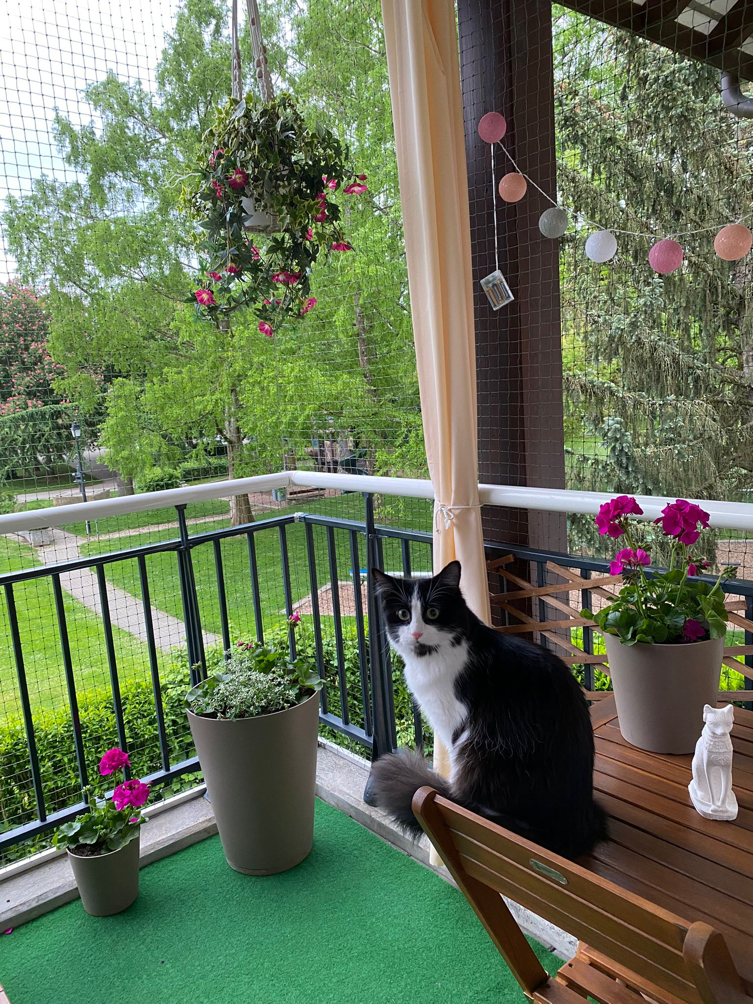 Filet-vert-vue-sur-jardin-03