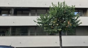 filets de protection pour chats sur un balcon dans un immeuble moderne