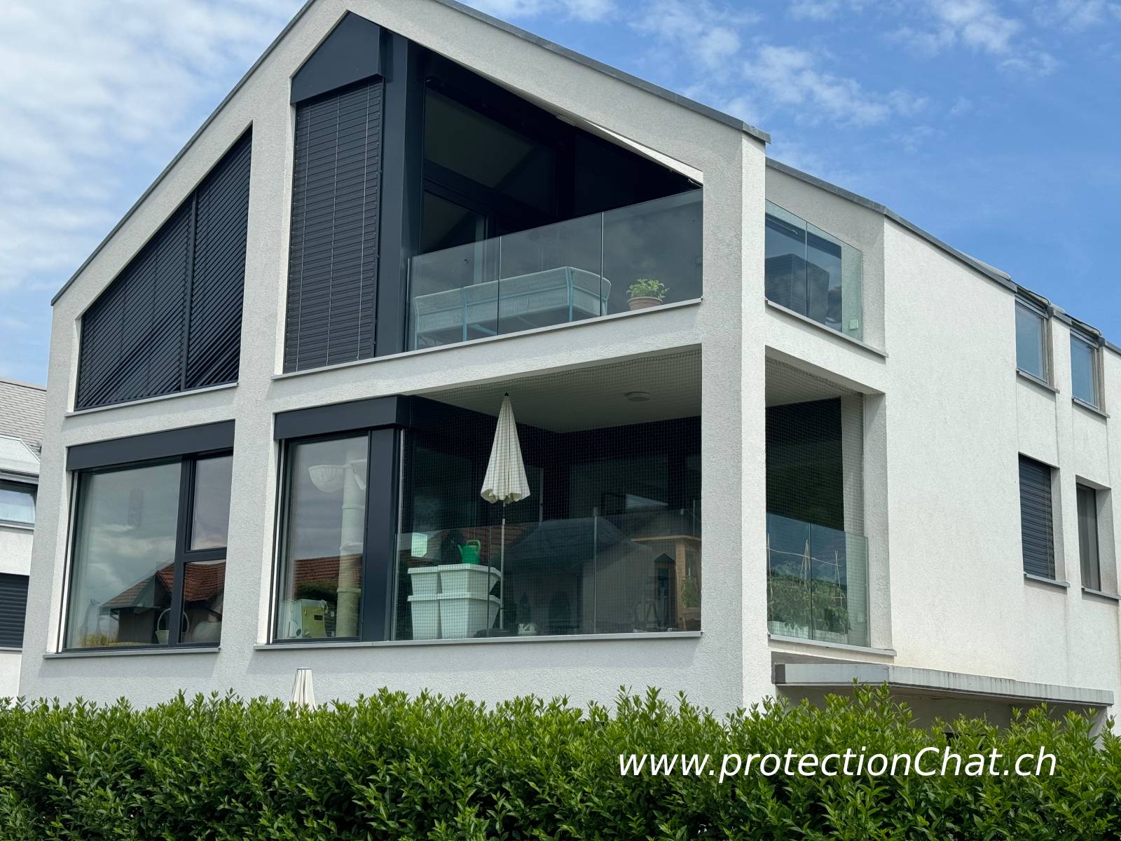 Protection-Chat-Fribourg-04