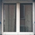 ProtectionChatCadre - 3