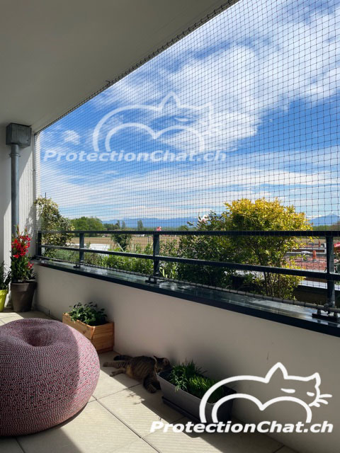 Protection Chat Cadre Filet Coulissant XXL