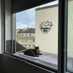 chaterie-sur-fenetre-08